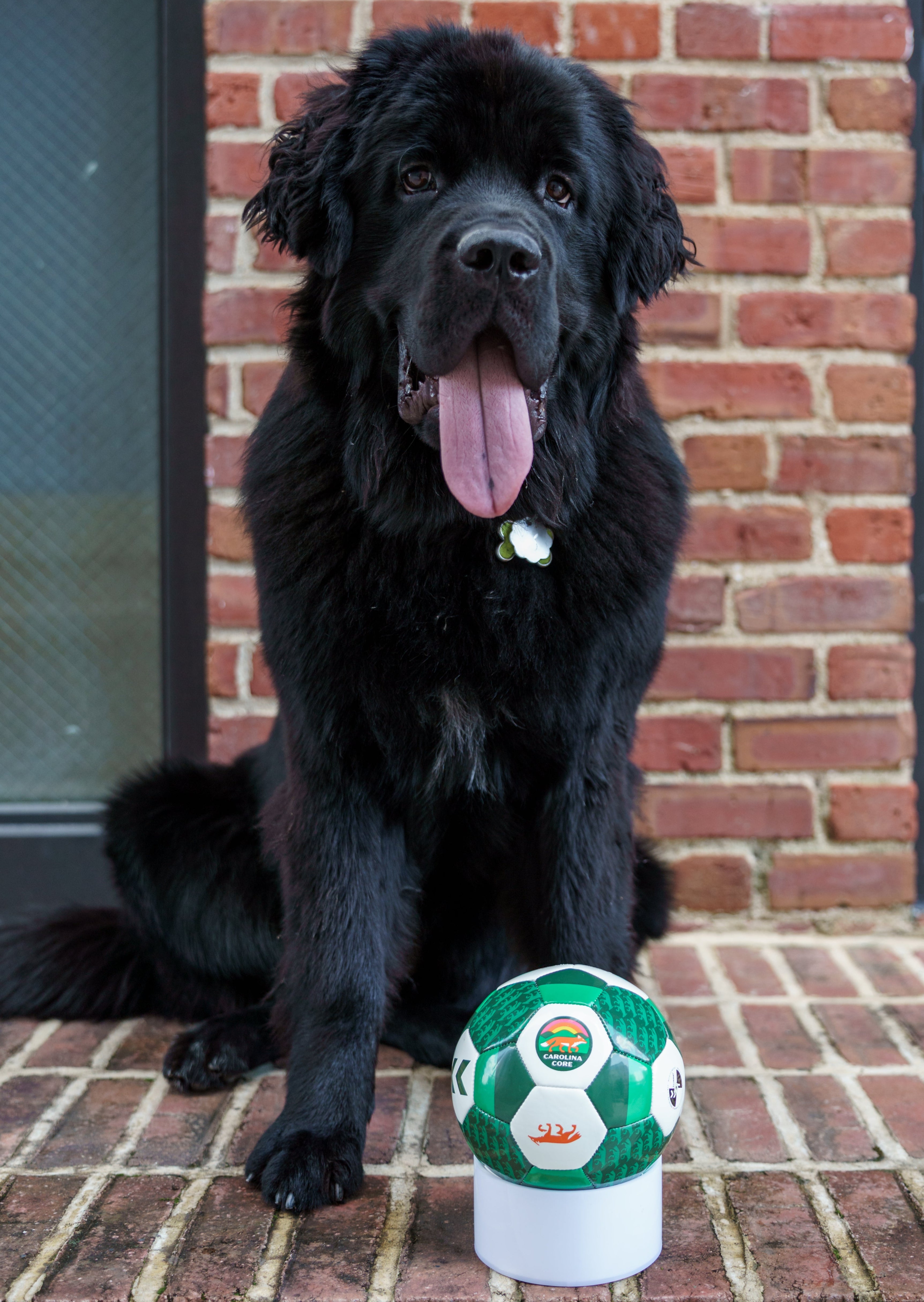 hummel CCFC Soccer Balls