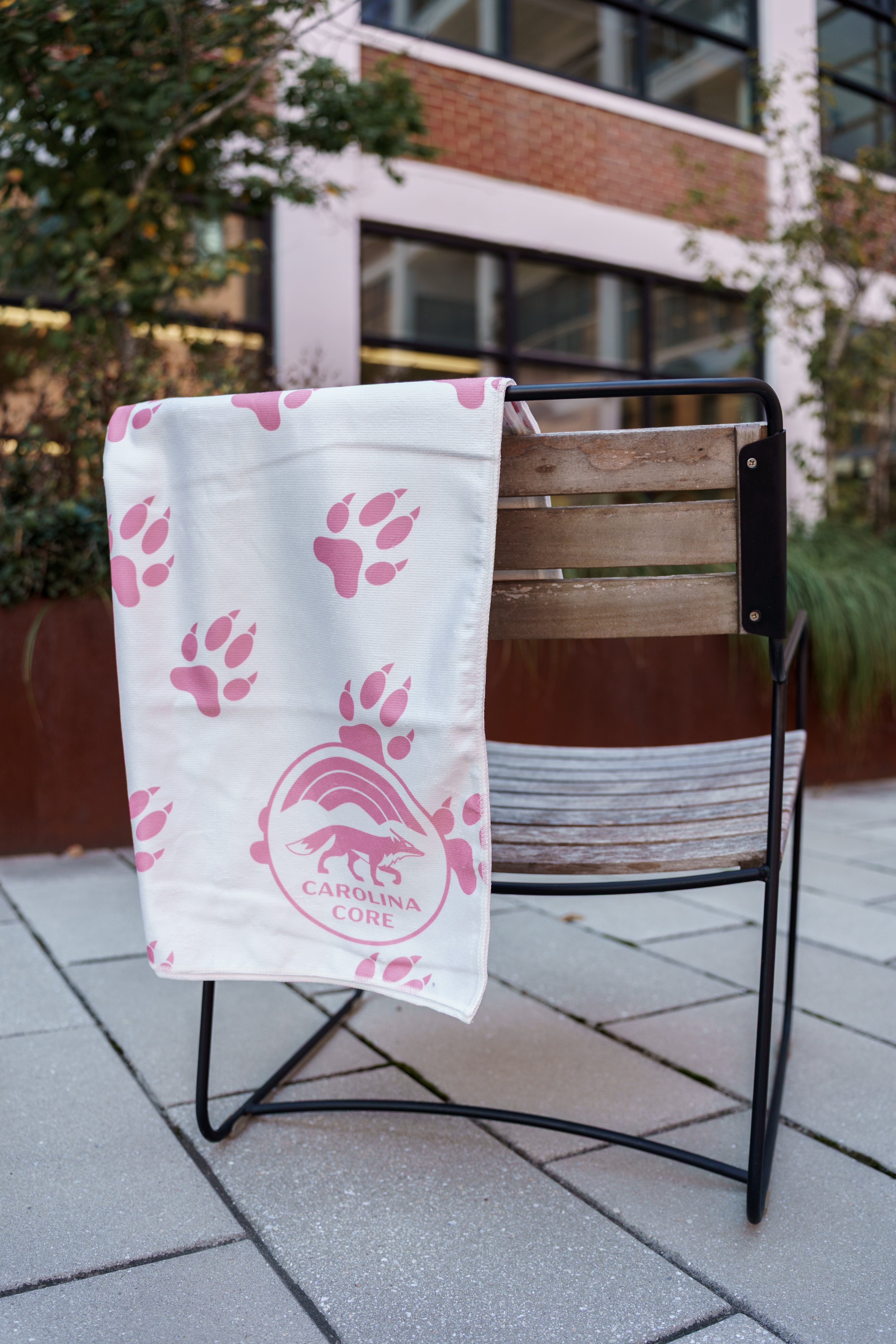 Beach Towels