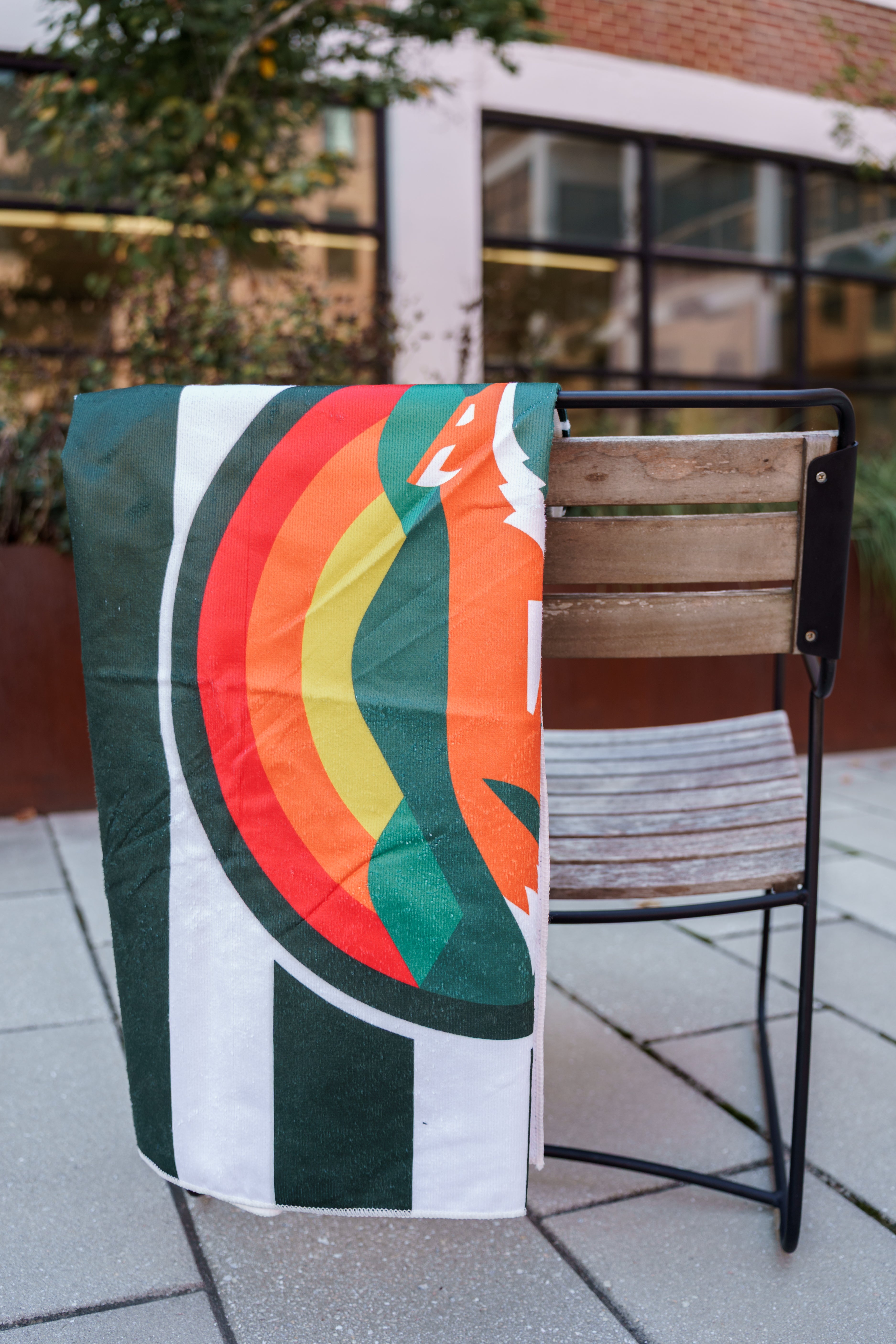 Beach Towels