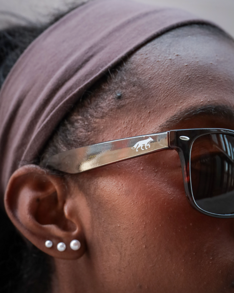 Tortoise Sunglasses