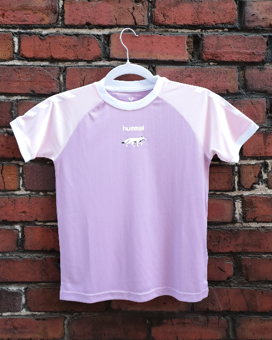 hummel YOUTH Pink and Lavender Training Top