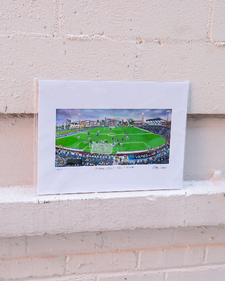 Gary Simon Art Stadium