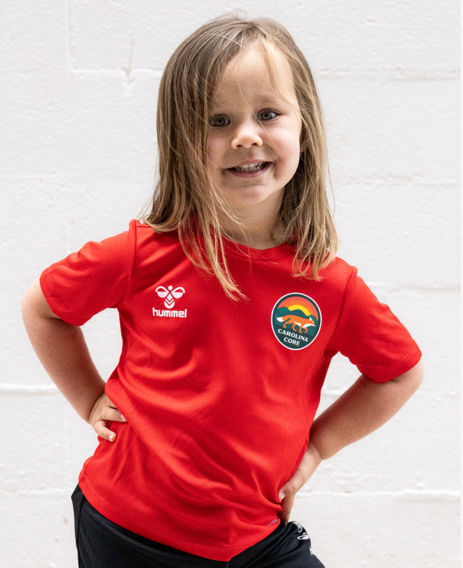 hummel Youth Training Jersey